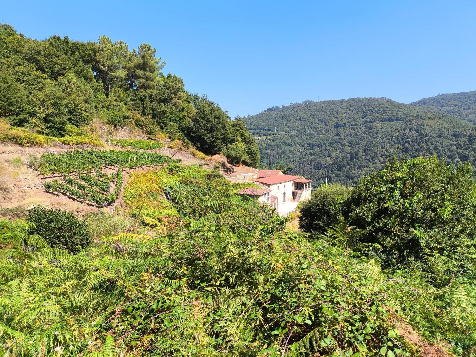 Xiravai-Ribeira Sacra Villa Peares Екстериор снимка