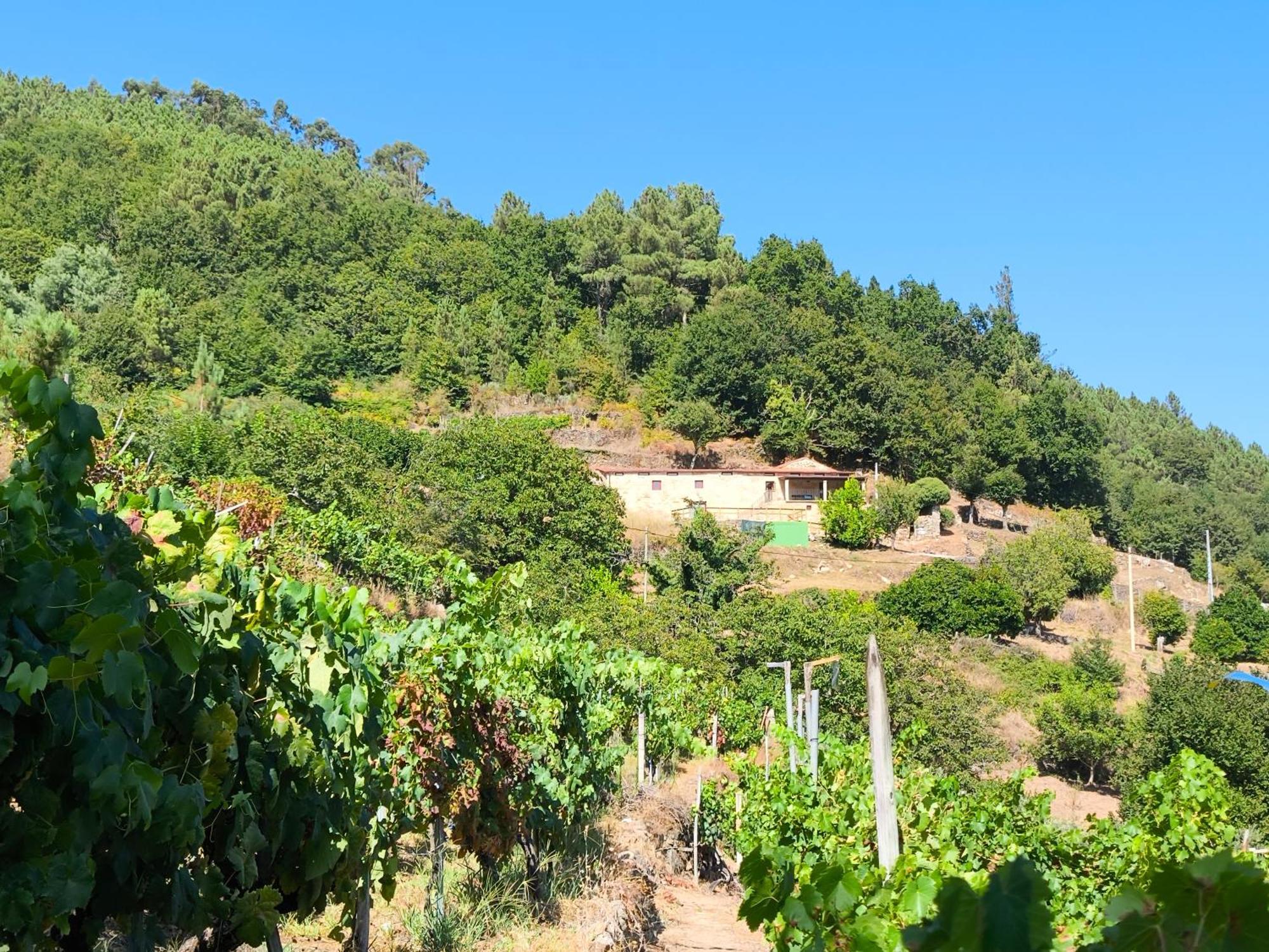 Xiravai-Ribeira Sacra Villa Peares Екстериор снимка